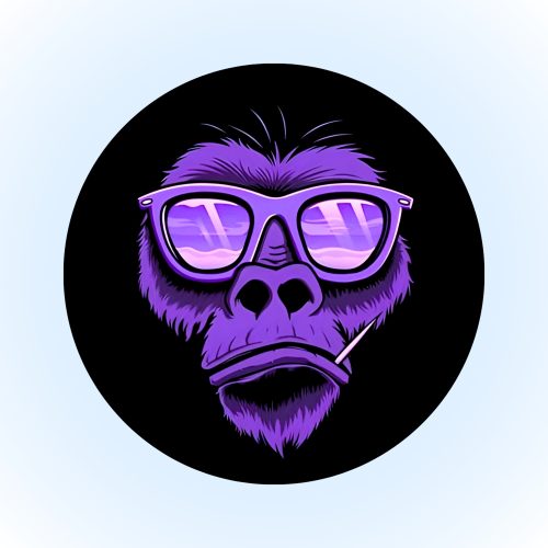 COOL MONKEY