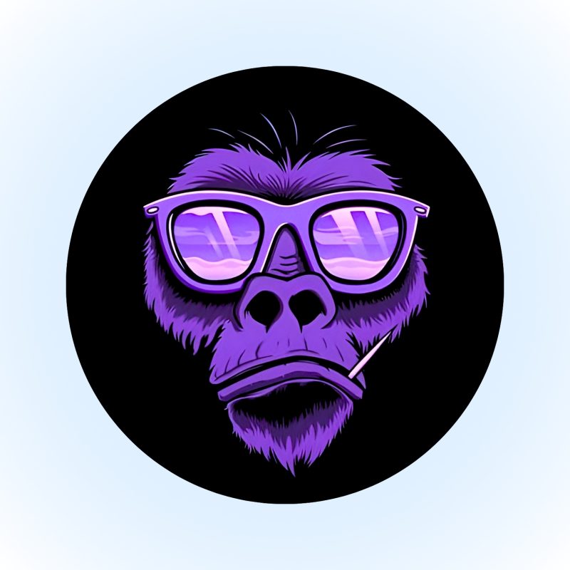 COOL MONKEY